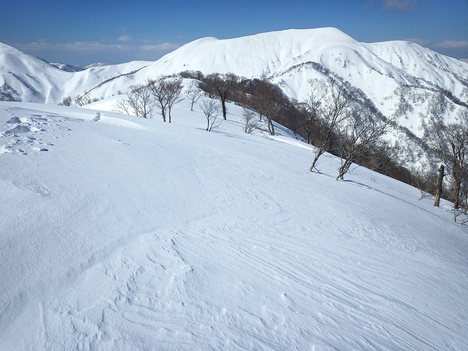 Mt. Nogohaku from Mae-yama, Mount Nōgōhaku