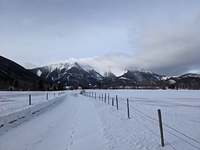 Schneeberg (January), Schneeberg (Alps) photo