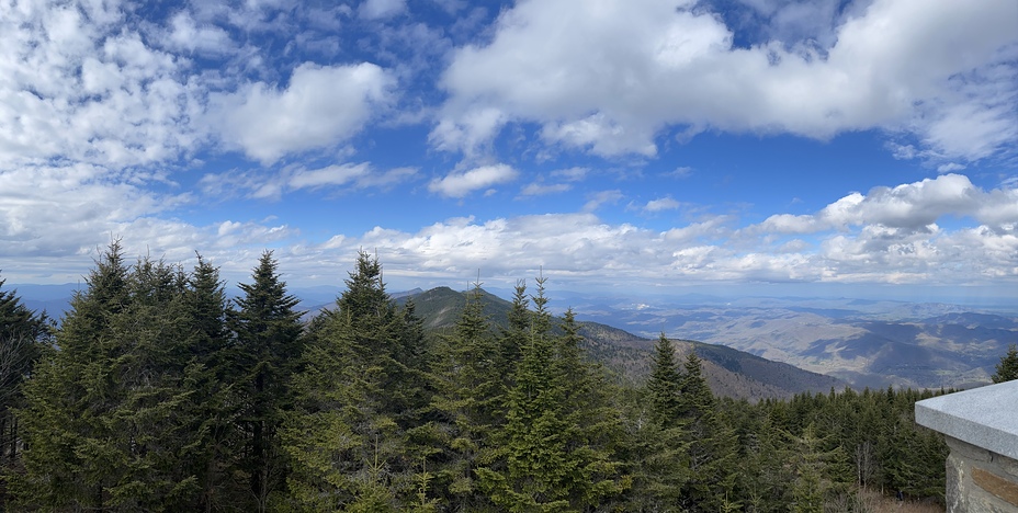 Springtime on Mt. Mitchell, Mount Mitchell (North Carolina)