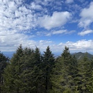 Springtime on Mt. Mitchell