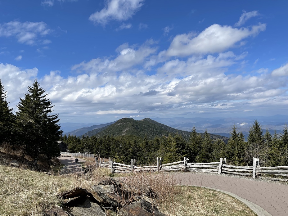 Springtime on Mt. Mitchell, Mount Mitchell (North Carolina)