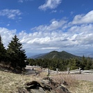 Springtime on Mt. Mitchell