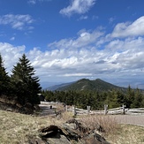 Springtime on Mt. Mitchell, Mount Mitchell (North Carolina)