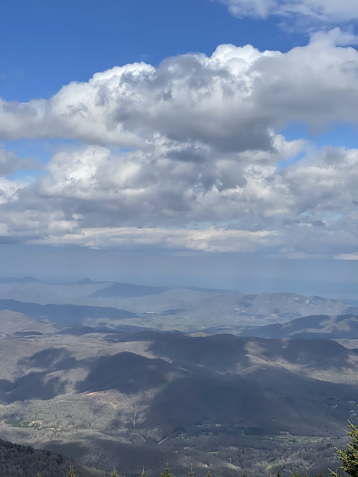 Springtime on Mt. Mitchell, Mount Mitchell (North Carolina)