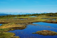 苗場山の池塘, Mount Naeba photo