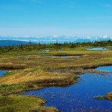 苗場山の池塘, Mount Naeba