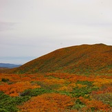 The best autumn leaves in Japan, Kurikoma