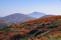 The best autumn leaves, Akita-komaga-take photo