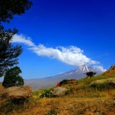 On the route of mount pashoreh, Damavand (دماوند)