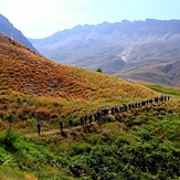 On the route of mount pashoreh, Damavand (دماوند)