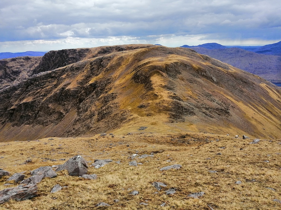 Ben Gorm Saddle