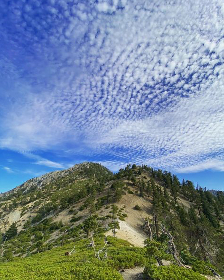 Telegraph Peak from Timber, Telegraph Peak (California)