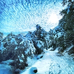 Winter in Wonderland, Mount Wilson (California)