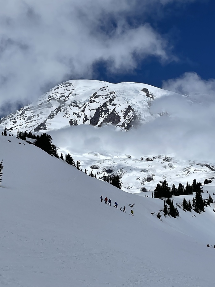 Rainier from Paradise, Mount Rainier