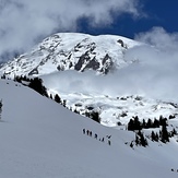 Rainier from Paradise, Mount Rainier