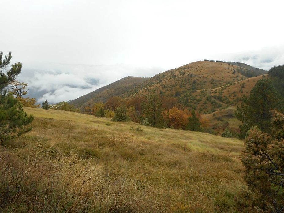 Studena planina weather