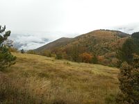 Studena planina photo