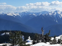 Mount Olympus from Hurricane Hill photo