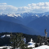 Mount Olympus from Hurricane Hill