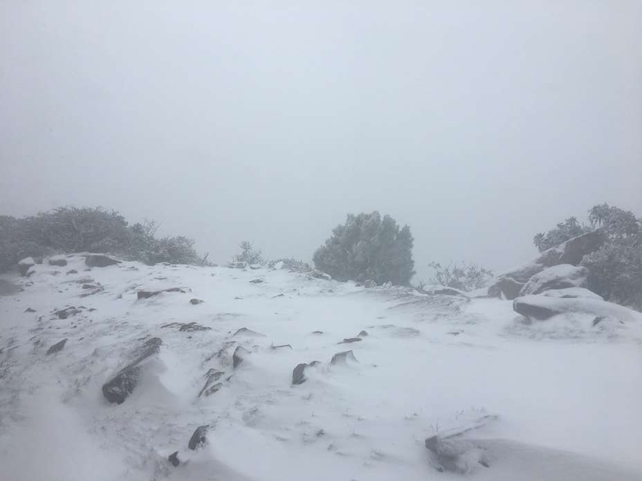 Durwil (Mt William) summit in a snowstorm #1, Mount William