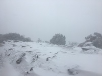 Durwil (Mt William) summit in a snowstorm #1, Mount William photo