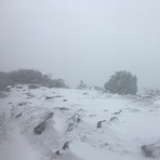 Durwil (Mt William) summit in a snowstorm #1, Mount William
