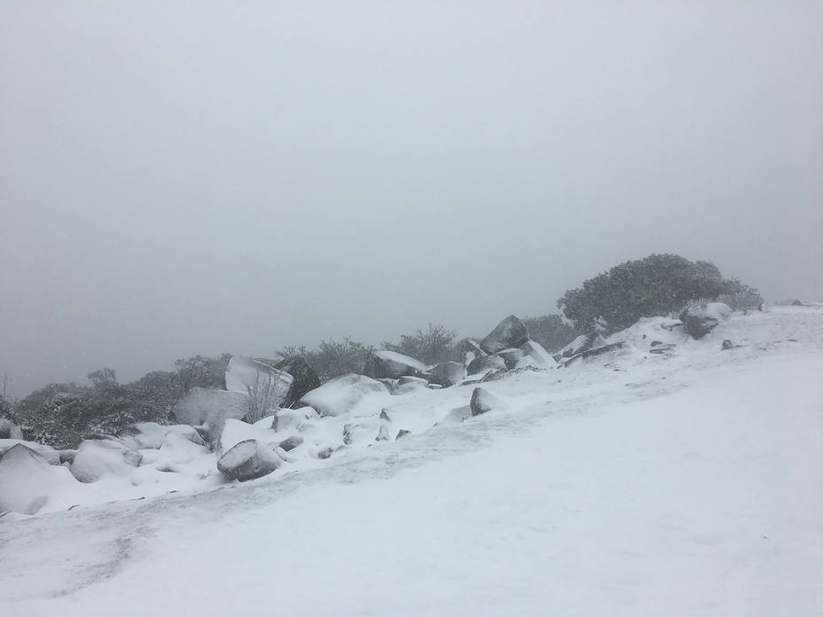 Durwil (Mt William) summit in a snowstorm #2, Mount William