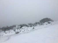 Durwil (Mt William) summit in a snowstorm #2, Mount William photo