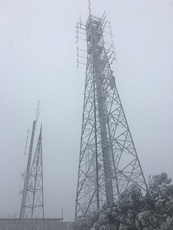 Durwil (Mt William) summit in a snowstorm #3, Mount William photo
