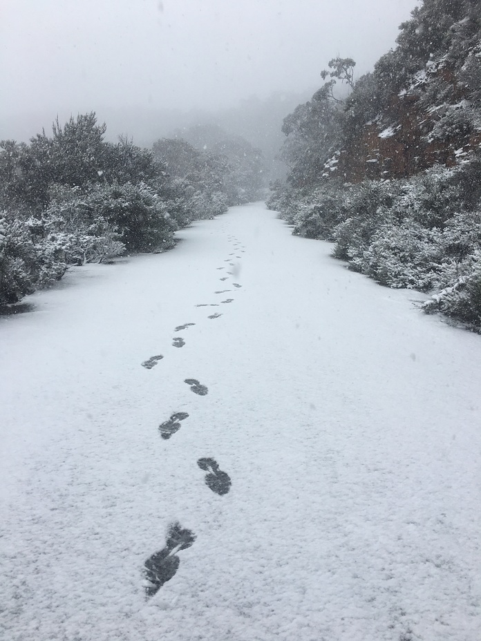 Durwil (Mt William) road to summit, Mount William