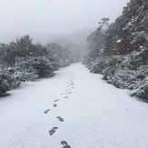 Durwil (Mt William) road to summit, Mount William