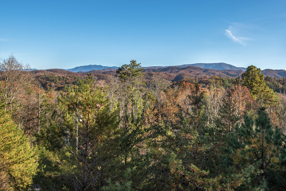 View from porch, Old Black (Great Smoky Mountains)