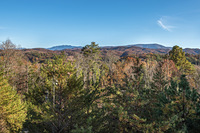 View from porch, Old Black (Great Smoky Mountains) photo