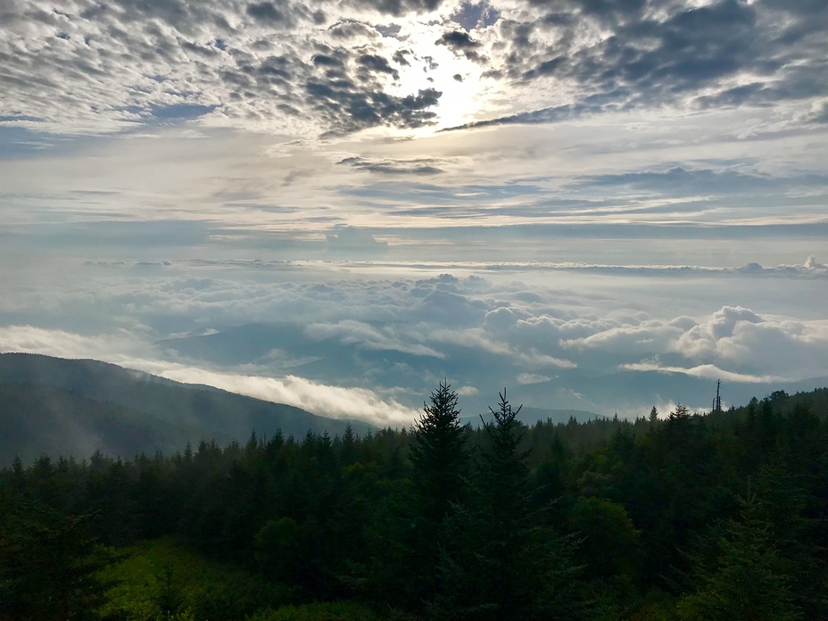 Above the clouds, Mount Mitchell (North Carolina)