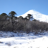 Entre Araucarias, Villarrica (volcano)