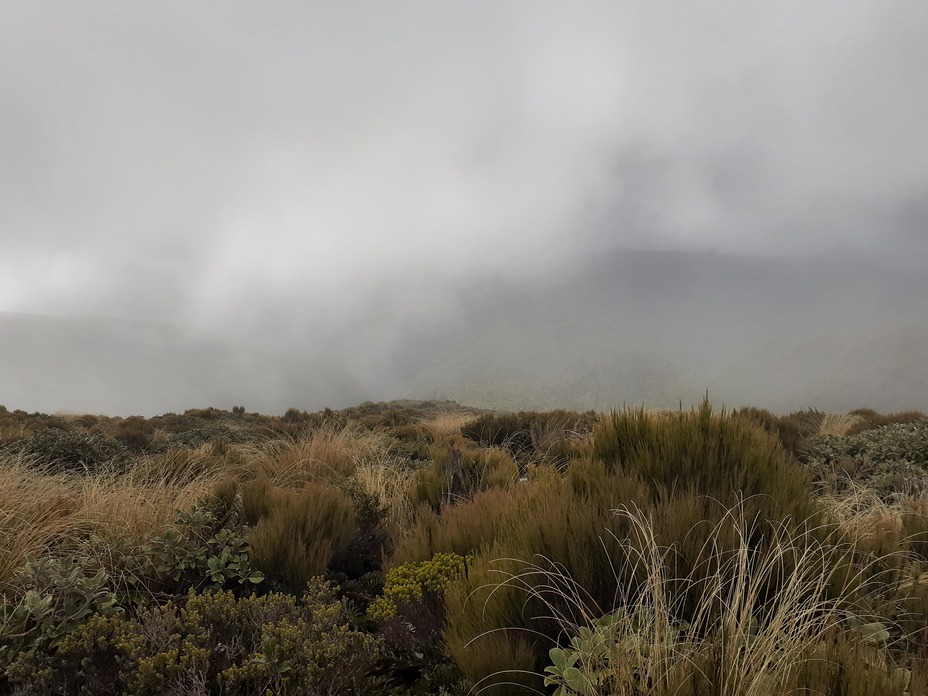 Clag, Mount Egmont/Taranaki