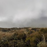 Clag, Mount Egmont/Taranaki