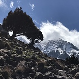 Toubkal