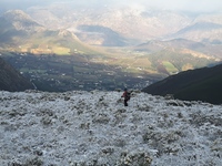 Perdekop, Groot Wellington Sneeukop photo