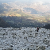 Perdekop, Groot Wellington Sneeukop