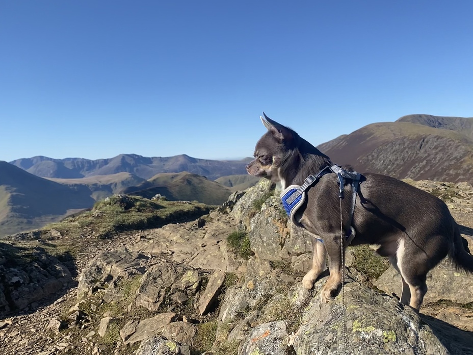 Ragnar on Sail Summit, Sail (Lake District)