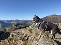 Ragnar on Sail Summit, Sail (Lake District) photo