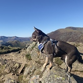 Ragnar on Sail Summit, Sail (Lake District)