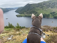 Ragnar, Glenridding Dodd photo