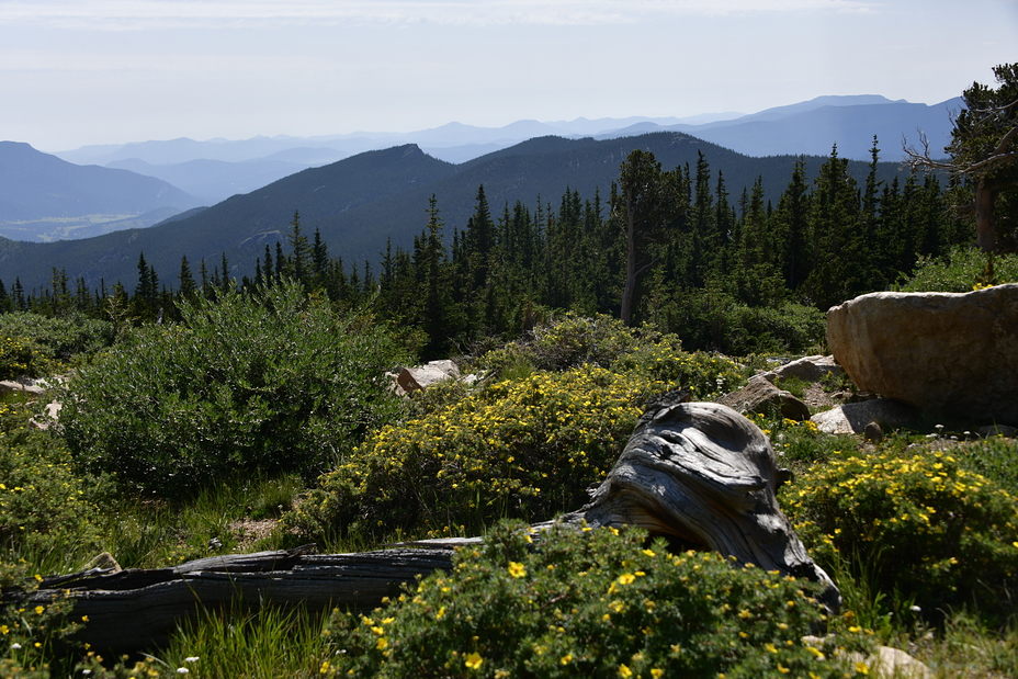 Mount Goliath, Mount Evans