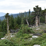 Mount Goliath, Mount Evans