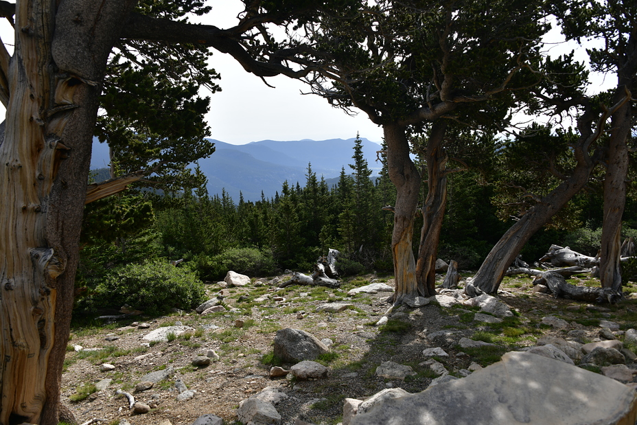 Mount Goliath, Mount Evans