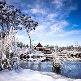 winter wonderland, Cradle Mountain