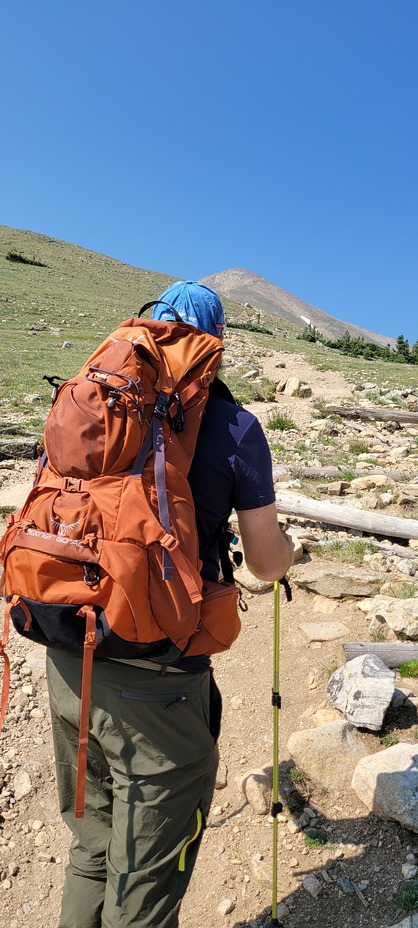 Elbert North Trail treeline, Mount Elbert