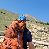 Elbert North Trail treeline, Mount Elbert